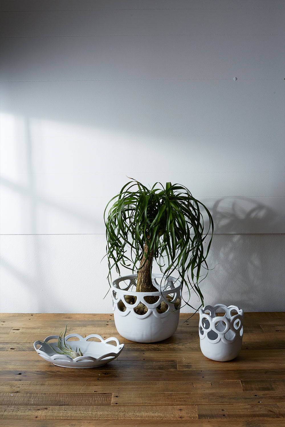 Lattice Collection