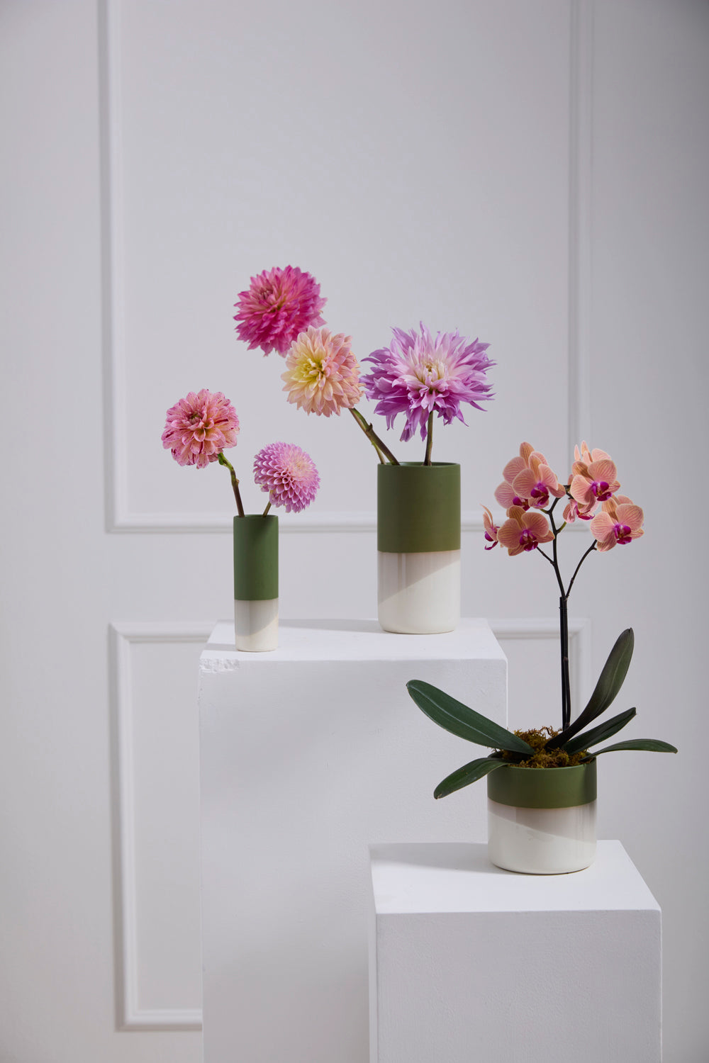 Lauris Collection