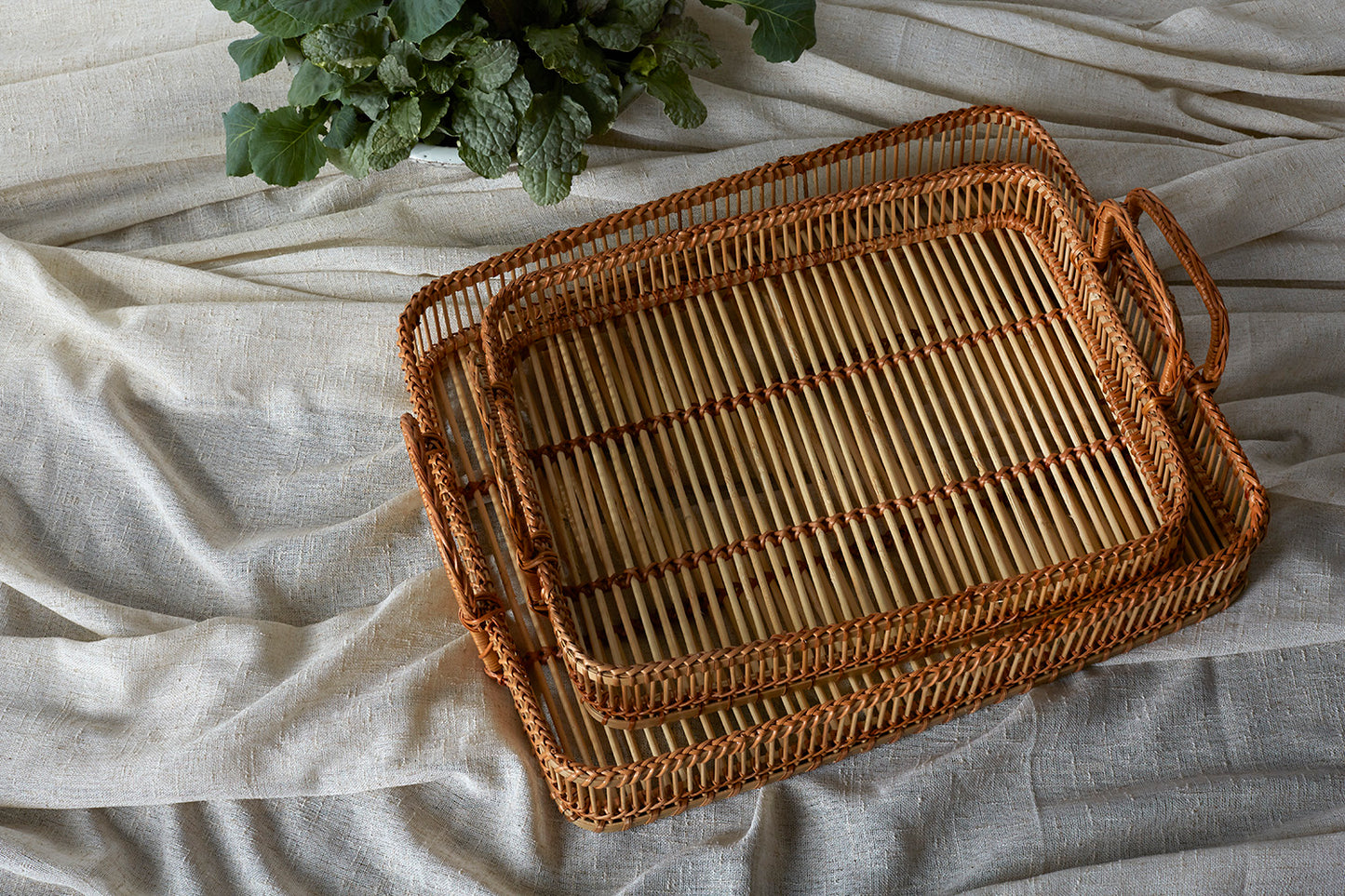 Leisure Tray