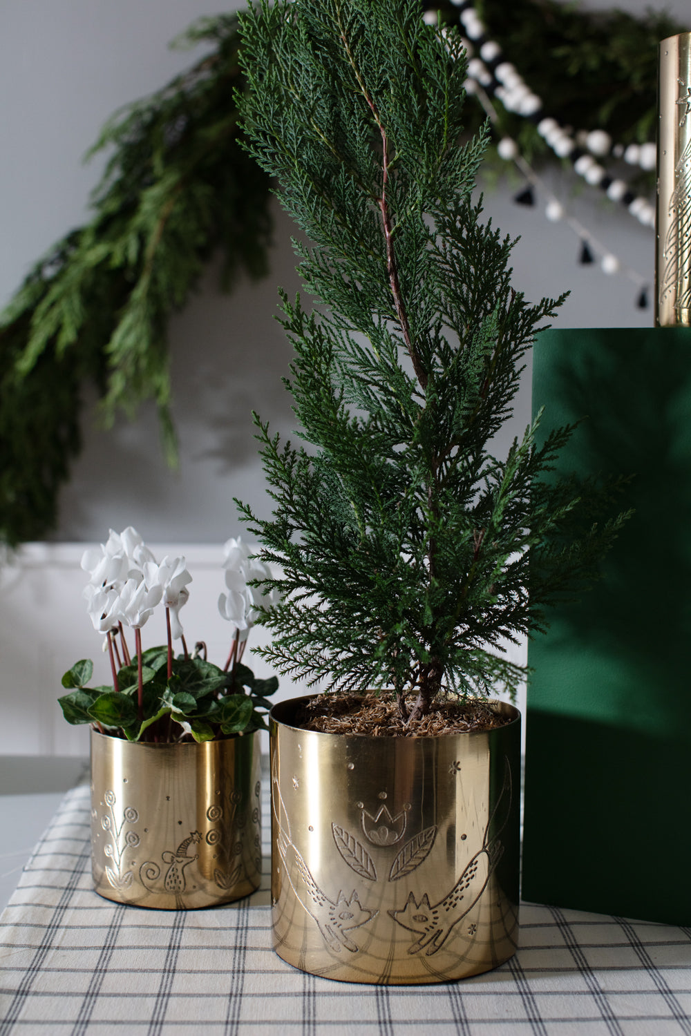 Linnea Collection