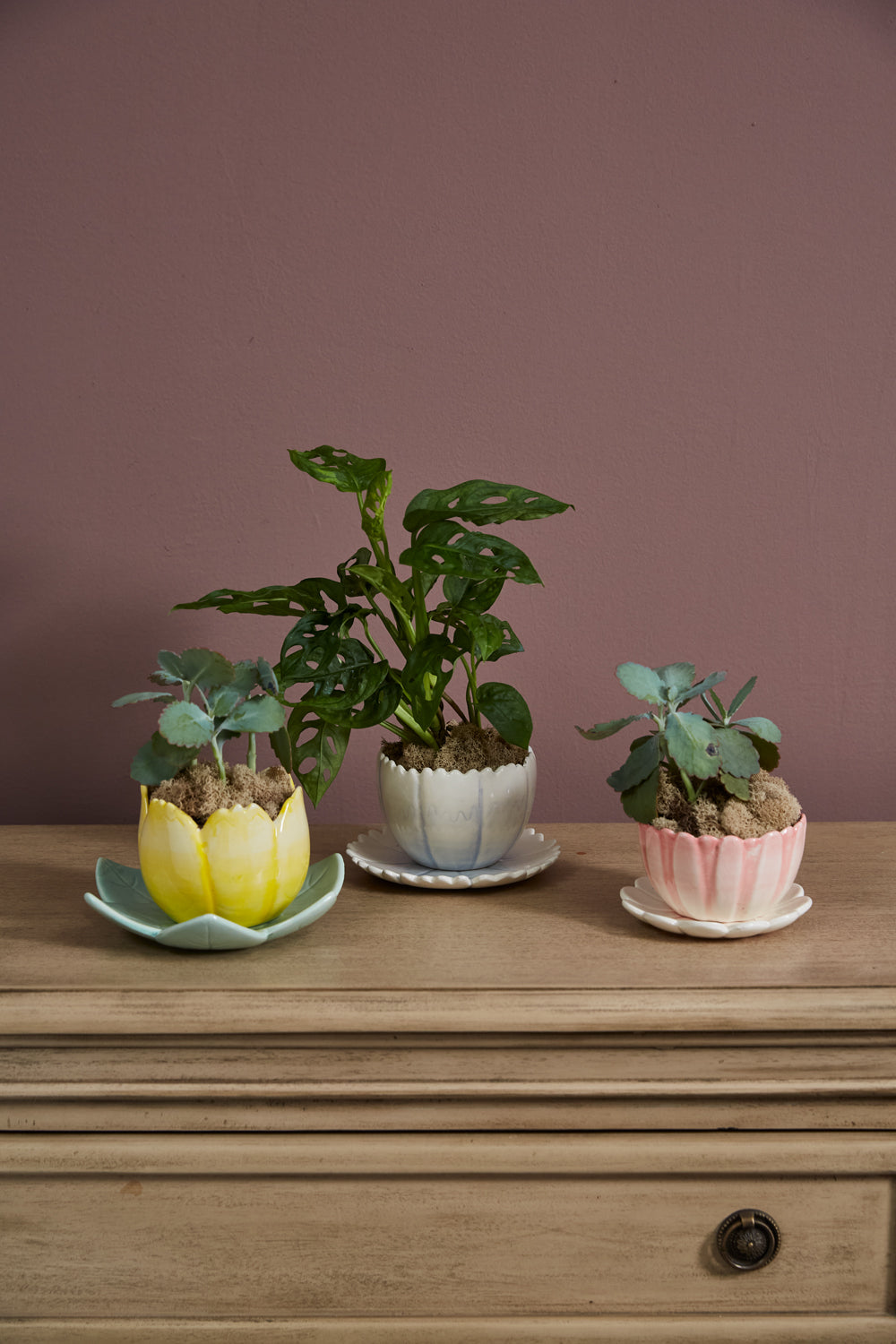 Little Flower Pot