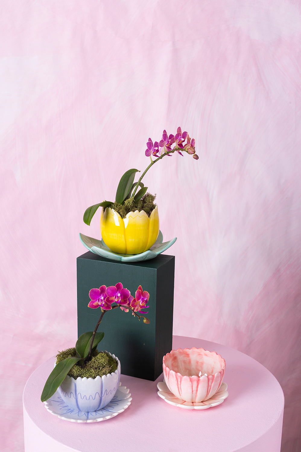 Little Flower Pot