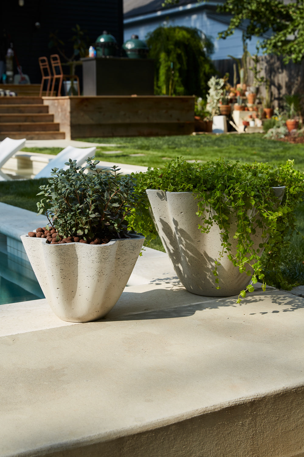 Living Planter