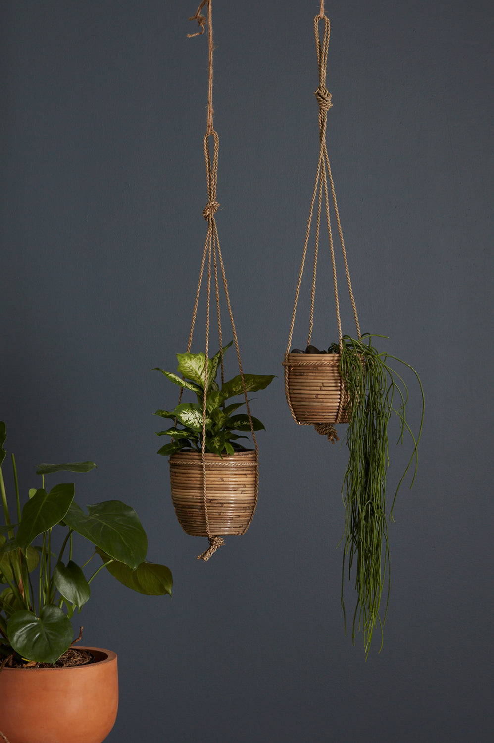 Lomita Hanging Pot