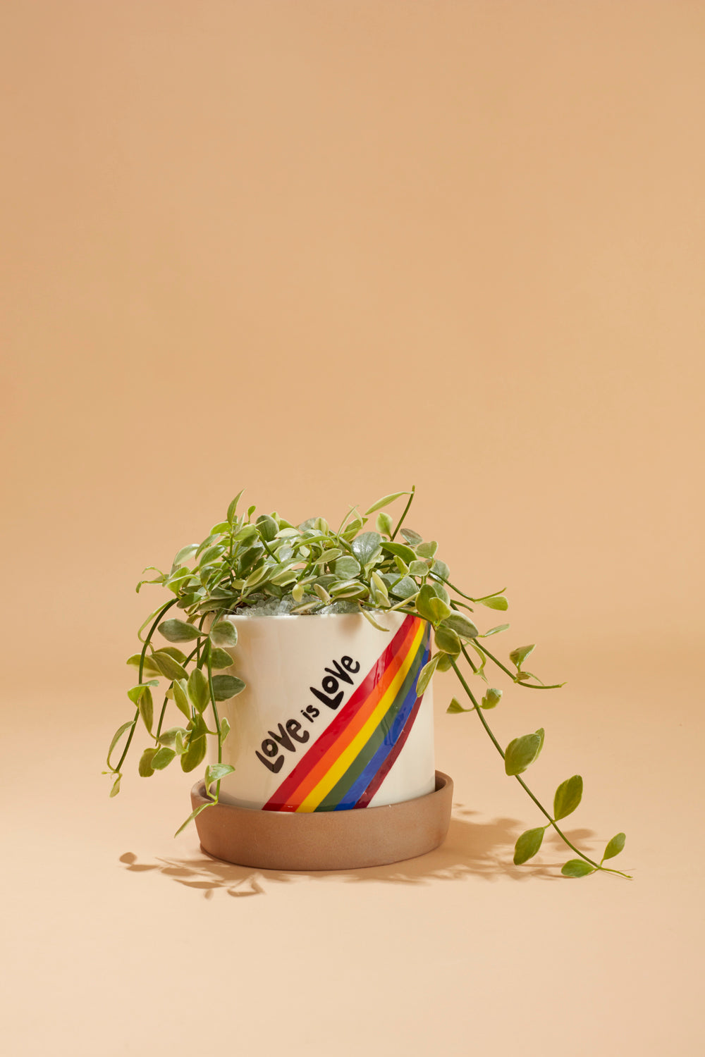 Love is Love Pot