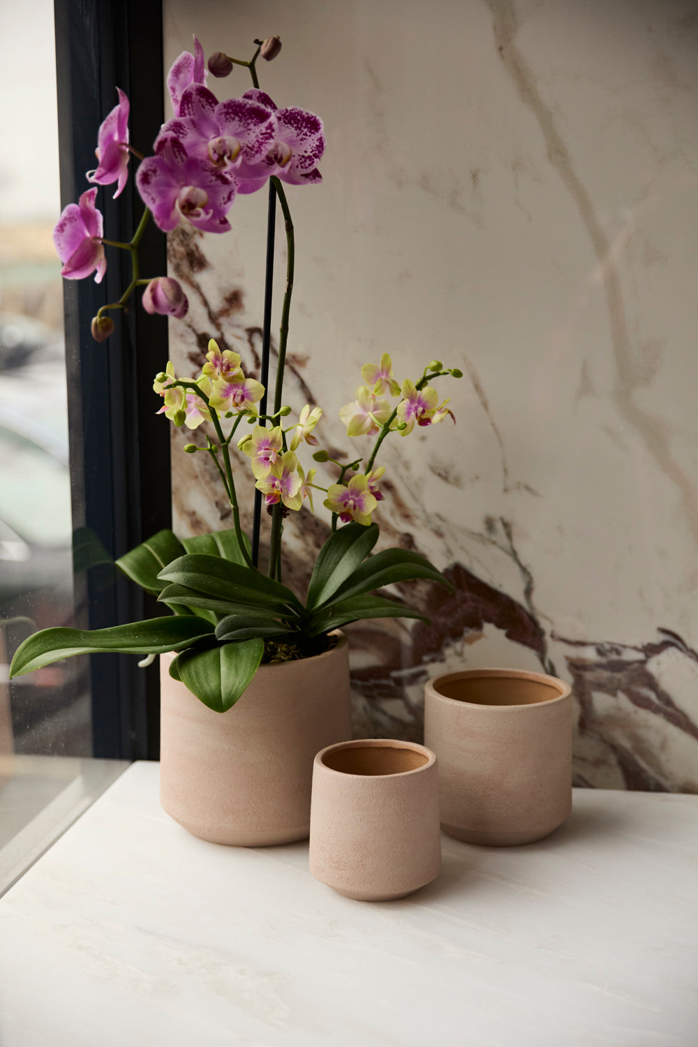 Luciana Pot