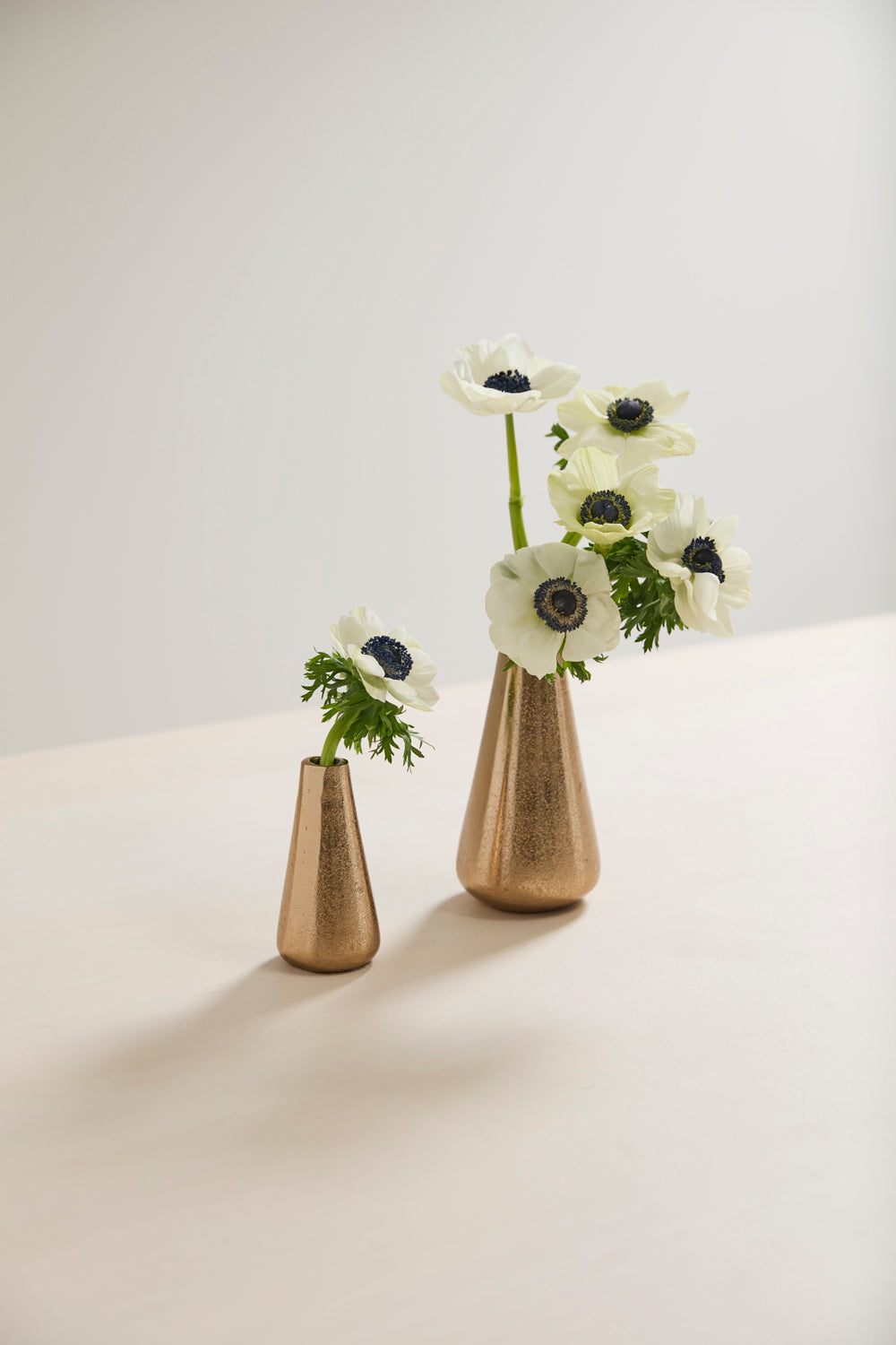 Lyric Budvase