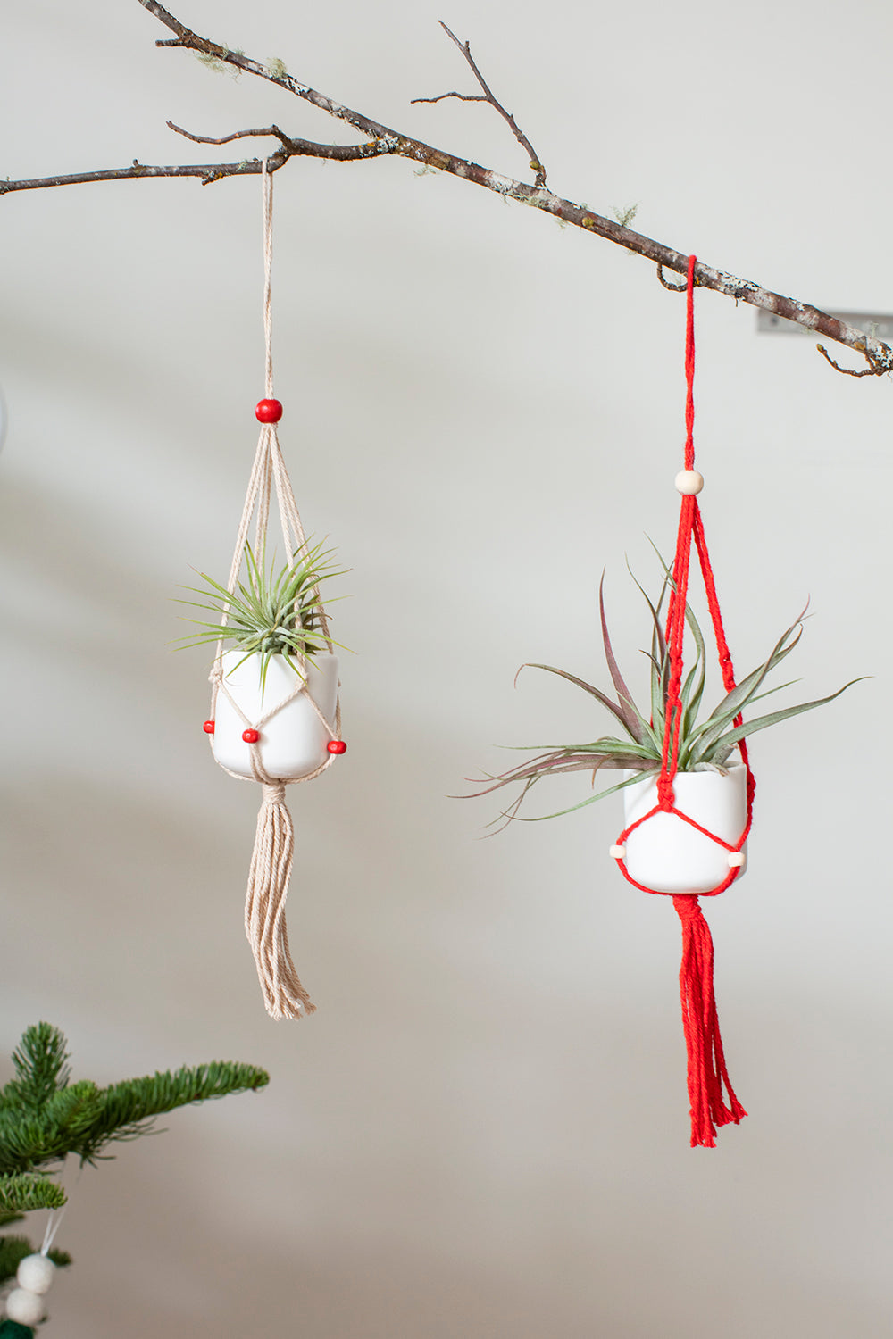 Macrame Tillandsia Holder Ornament