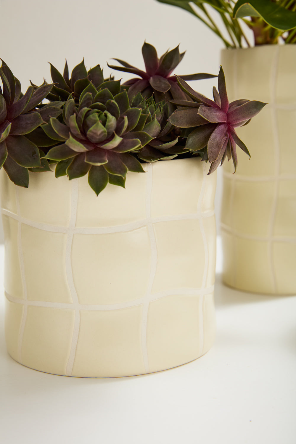Maison Collection