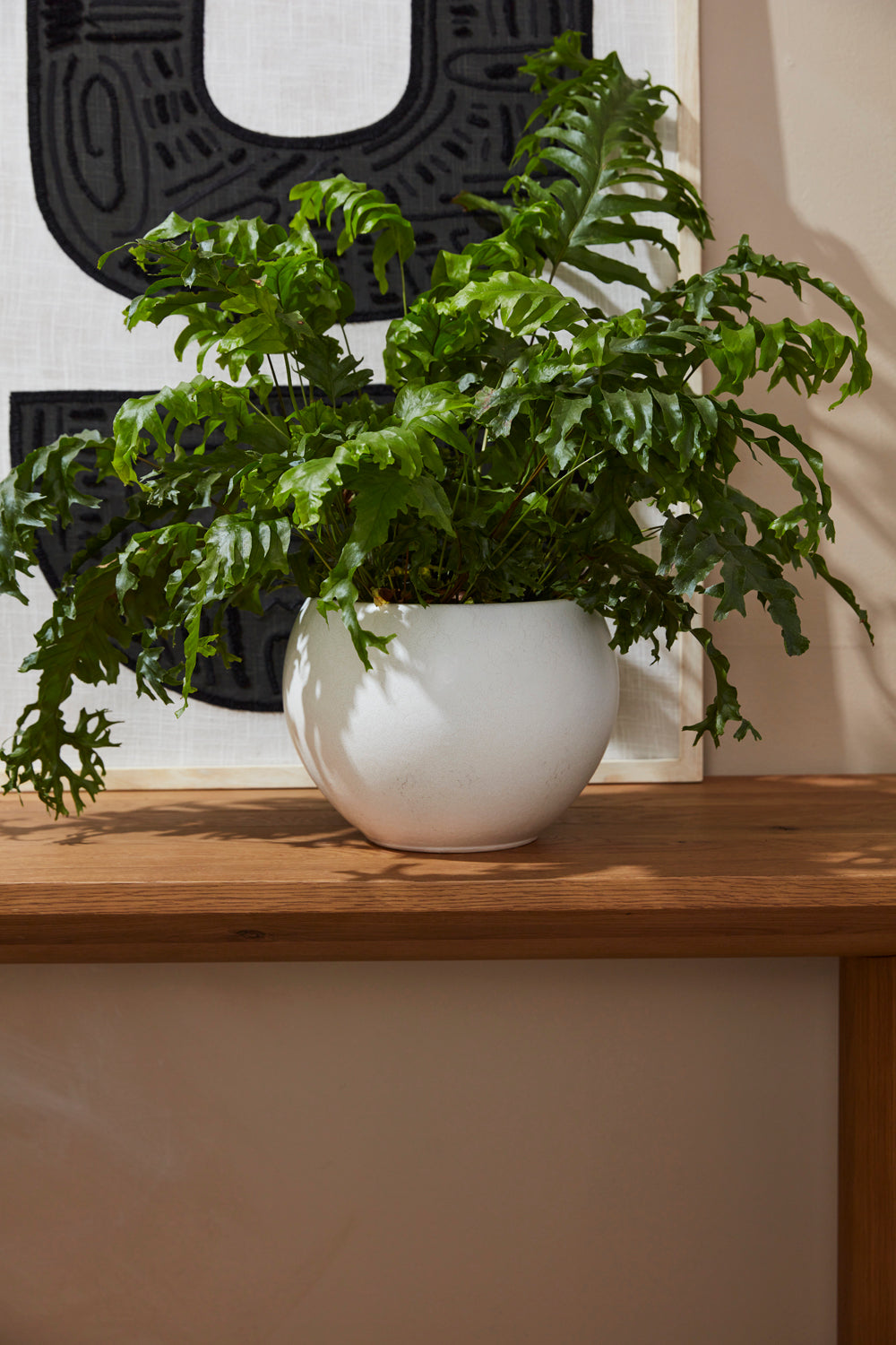 Mayu Pot