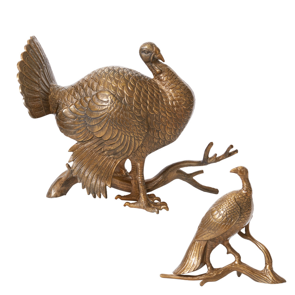 Merriam Turkey