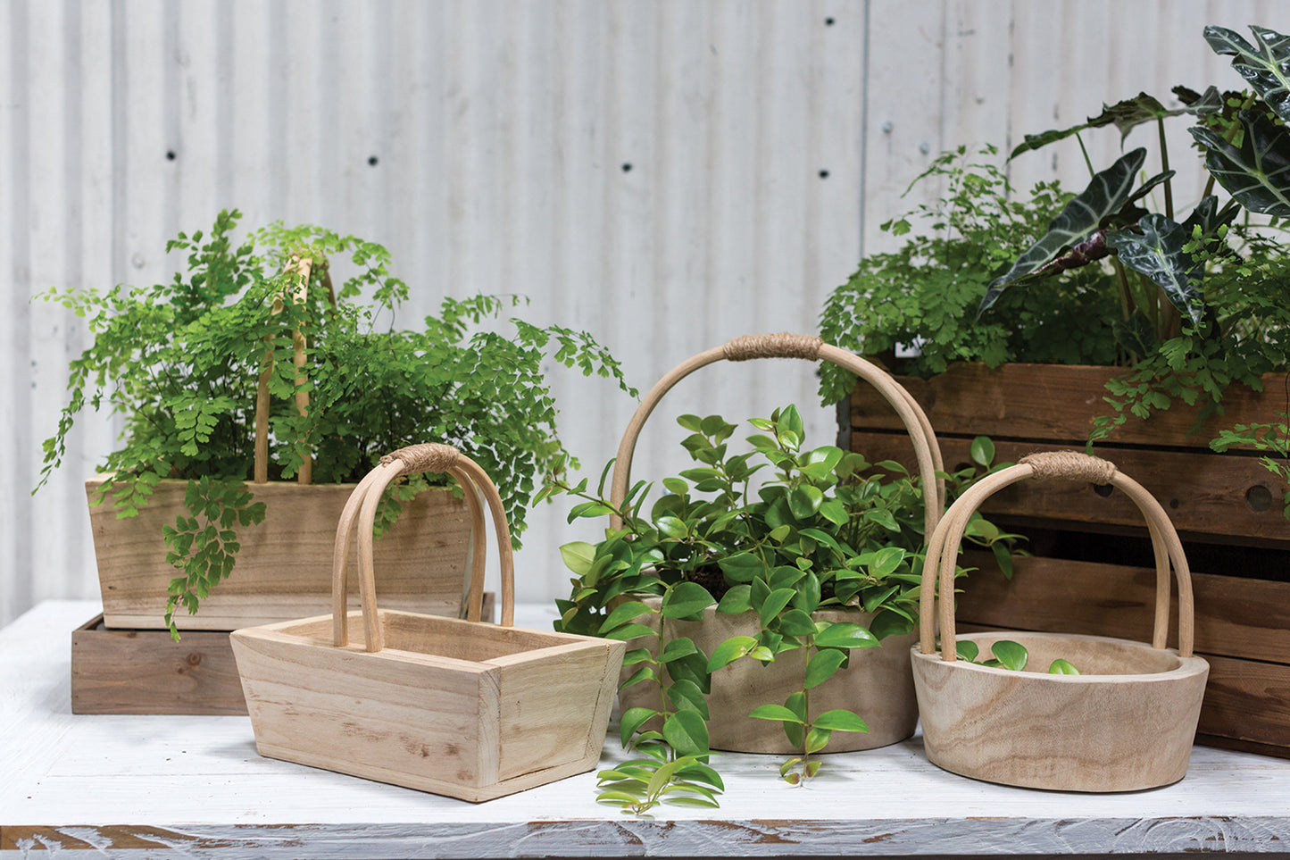 Mesa Basket