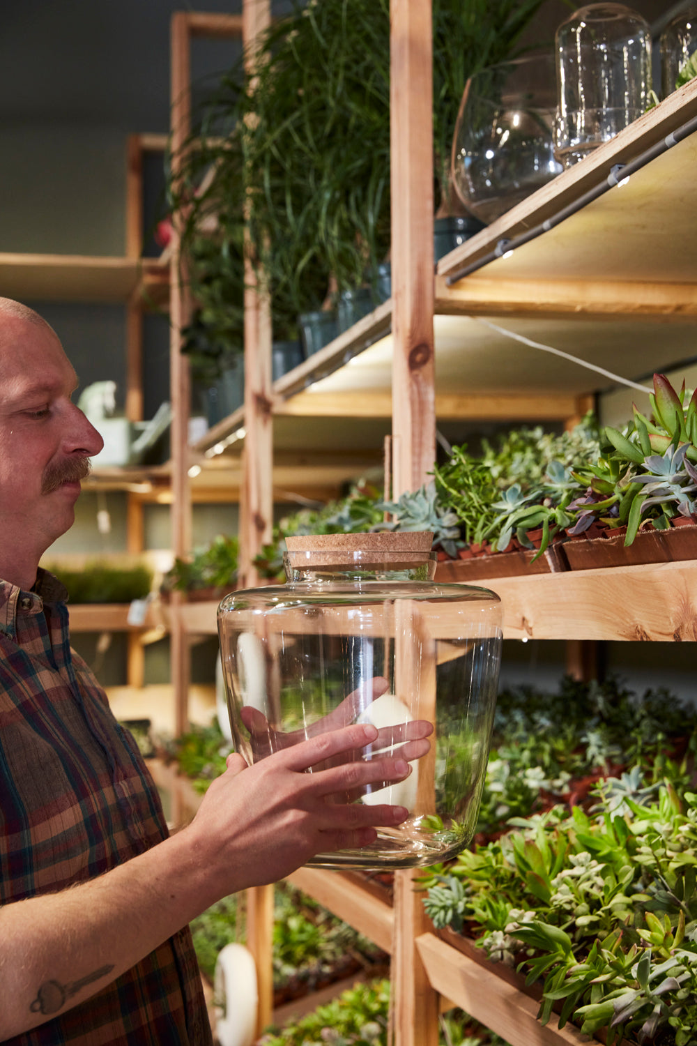 Message Terrarium
