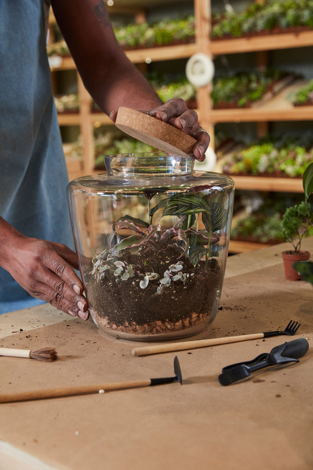 Message Terrarium