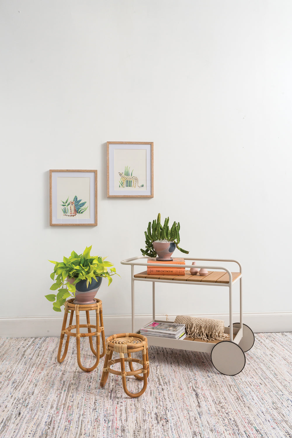 Modera Pot