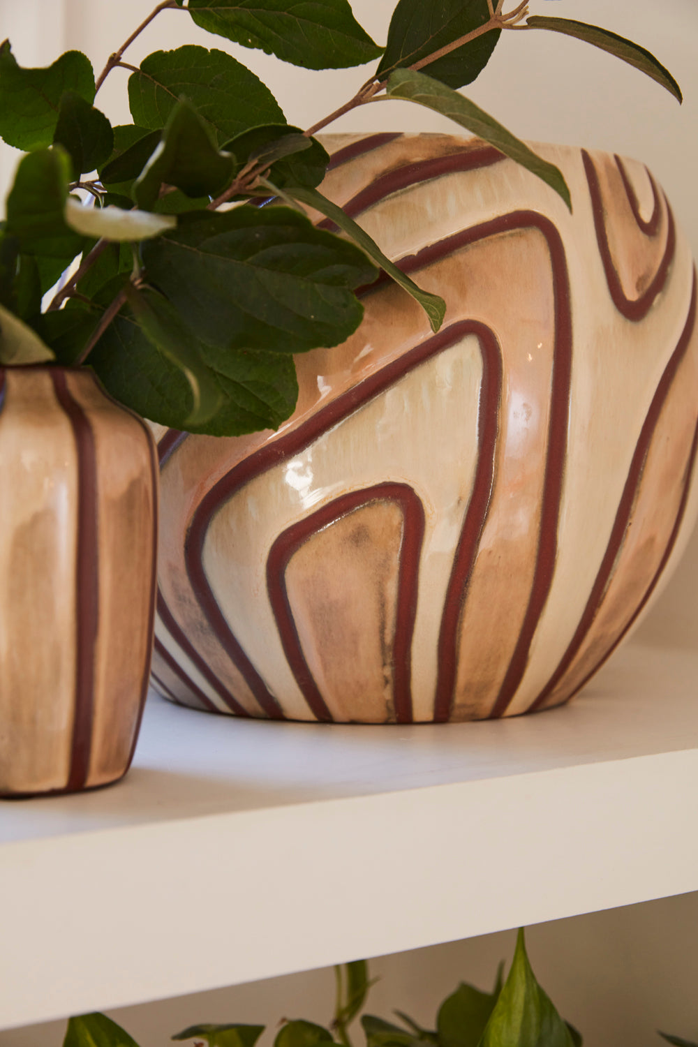 Mollino Collection