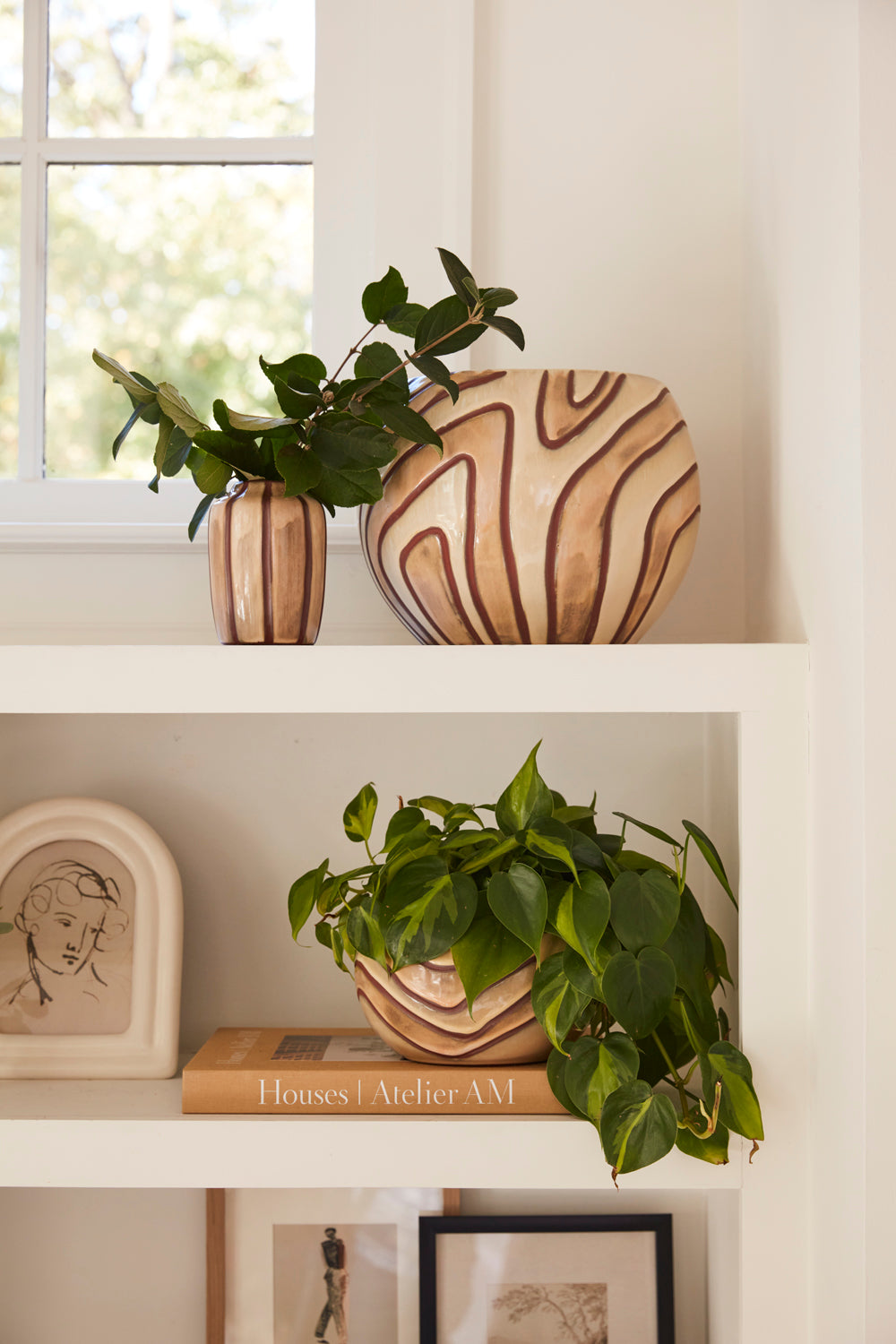 Mollino Collection