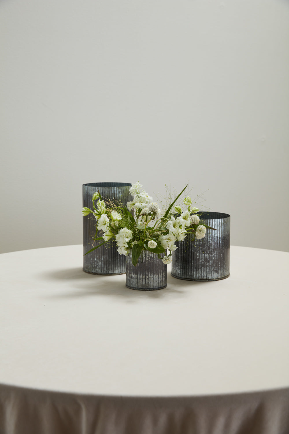Norah Collection