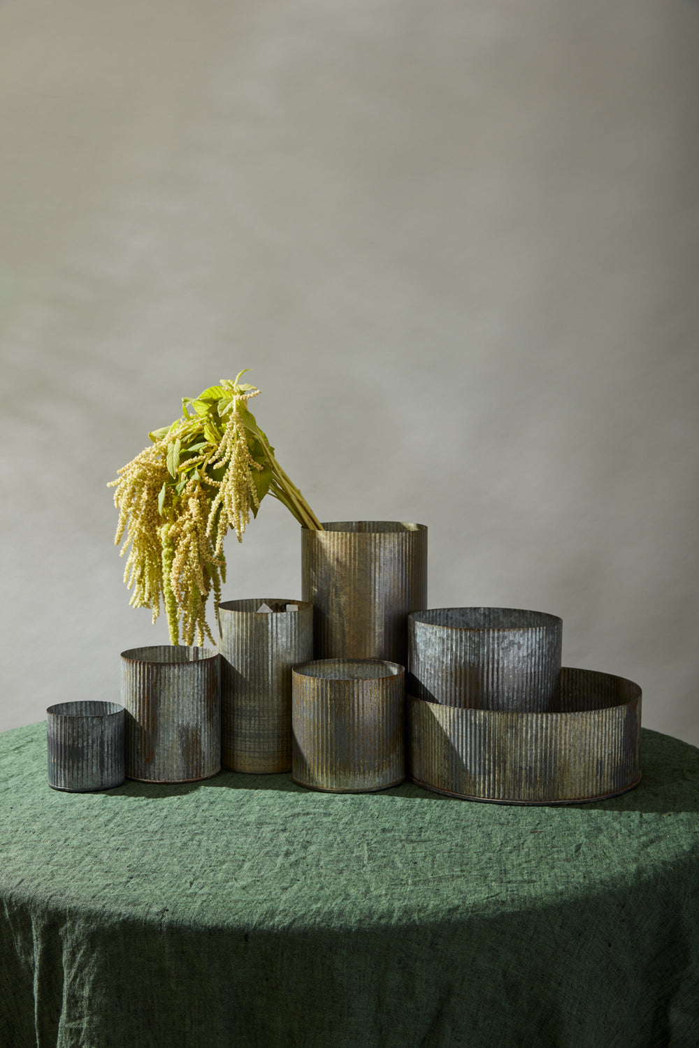 Norah Collection