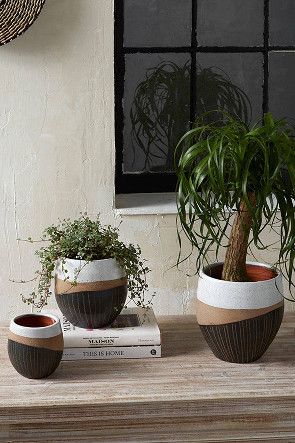 Oco Pot
