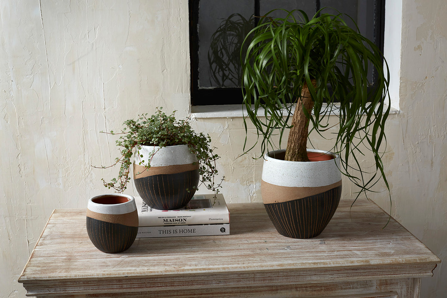 Oco Pot