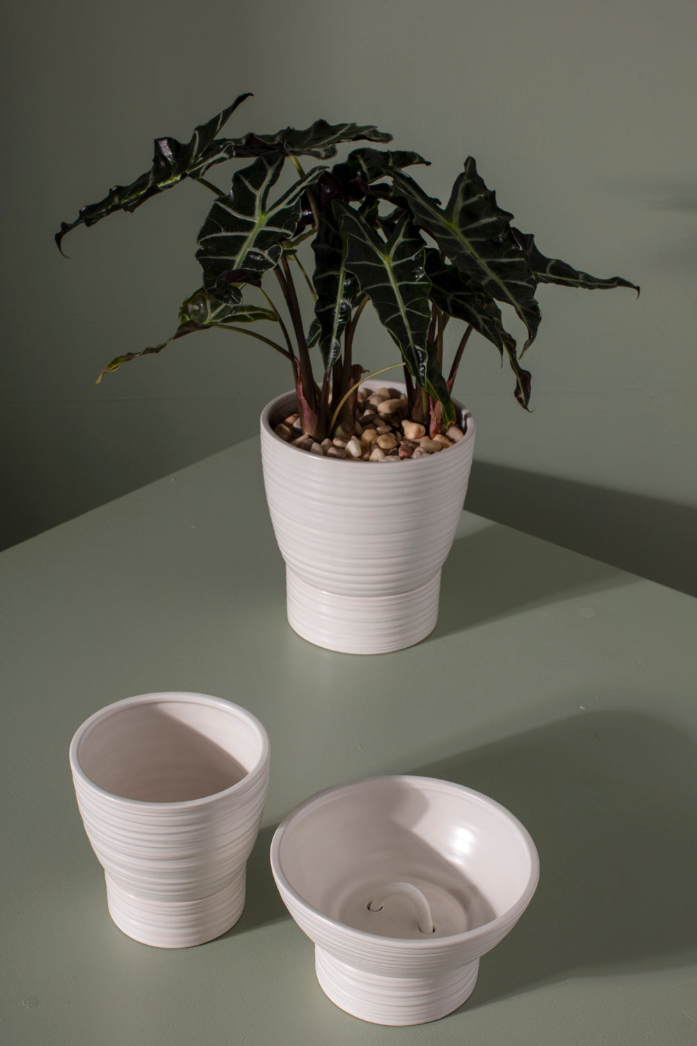 Olin Collection