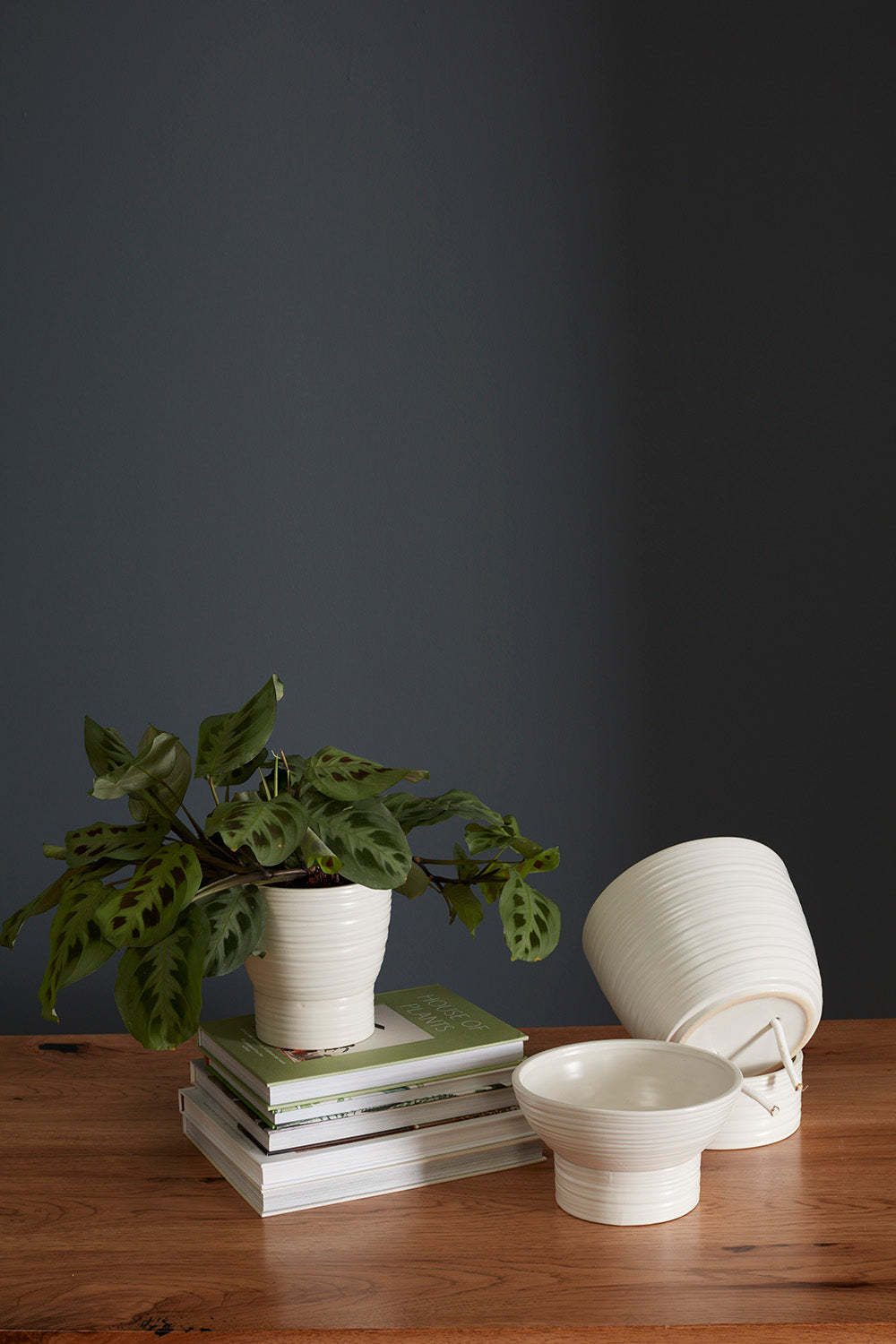 Olin Collection