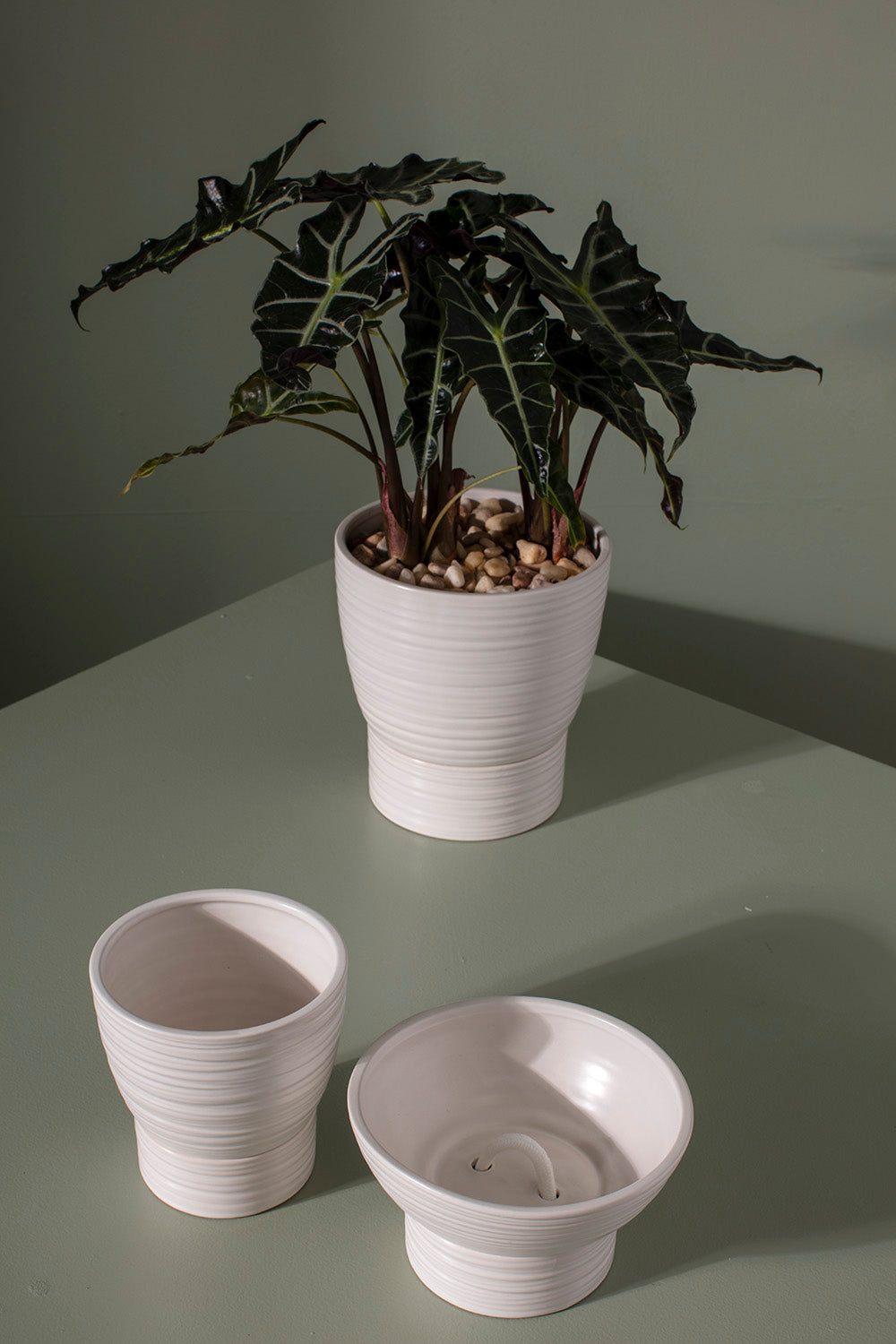 Olin Collection