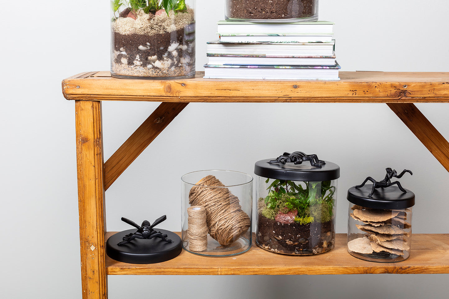 Ology Canister