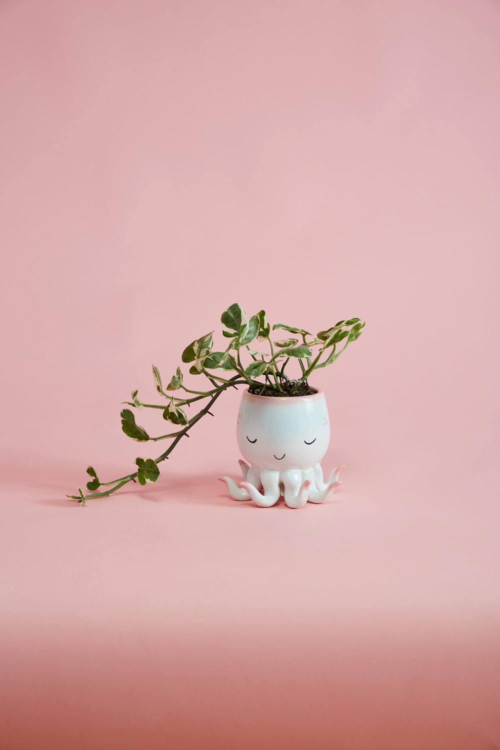 Open Arms Octopus Pot