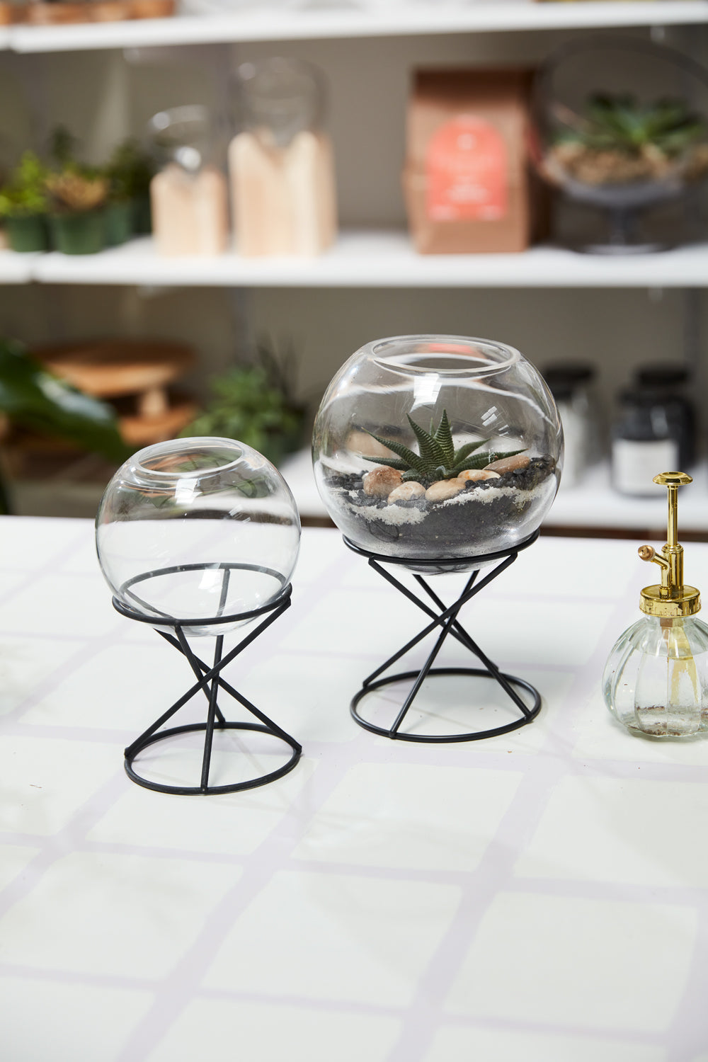 Orbit Terrarium