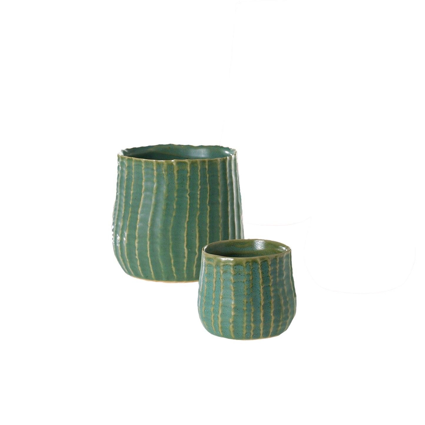 Palmero Collection