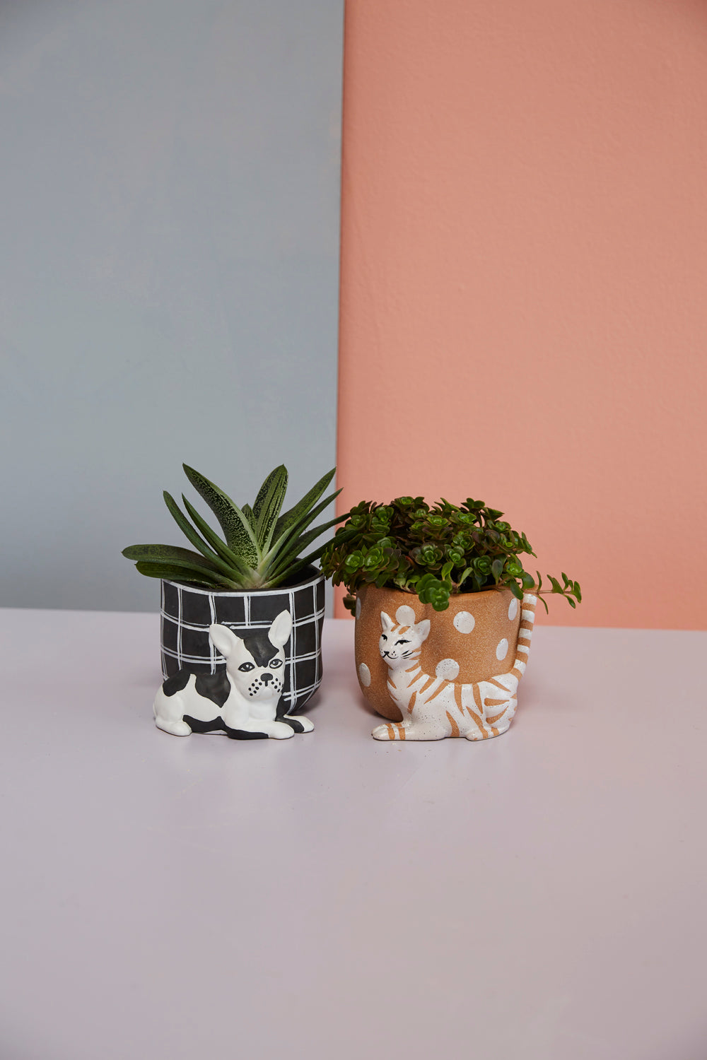 Pampered Pet Pot