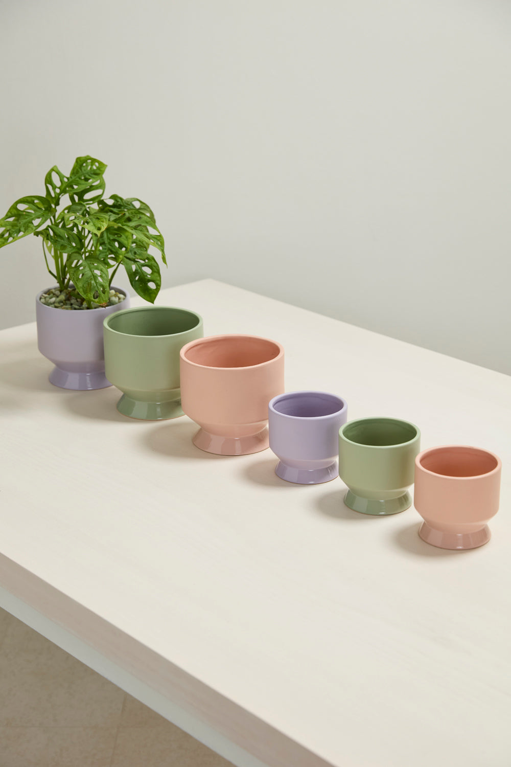 Pasadena Pot