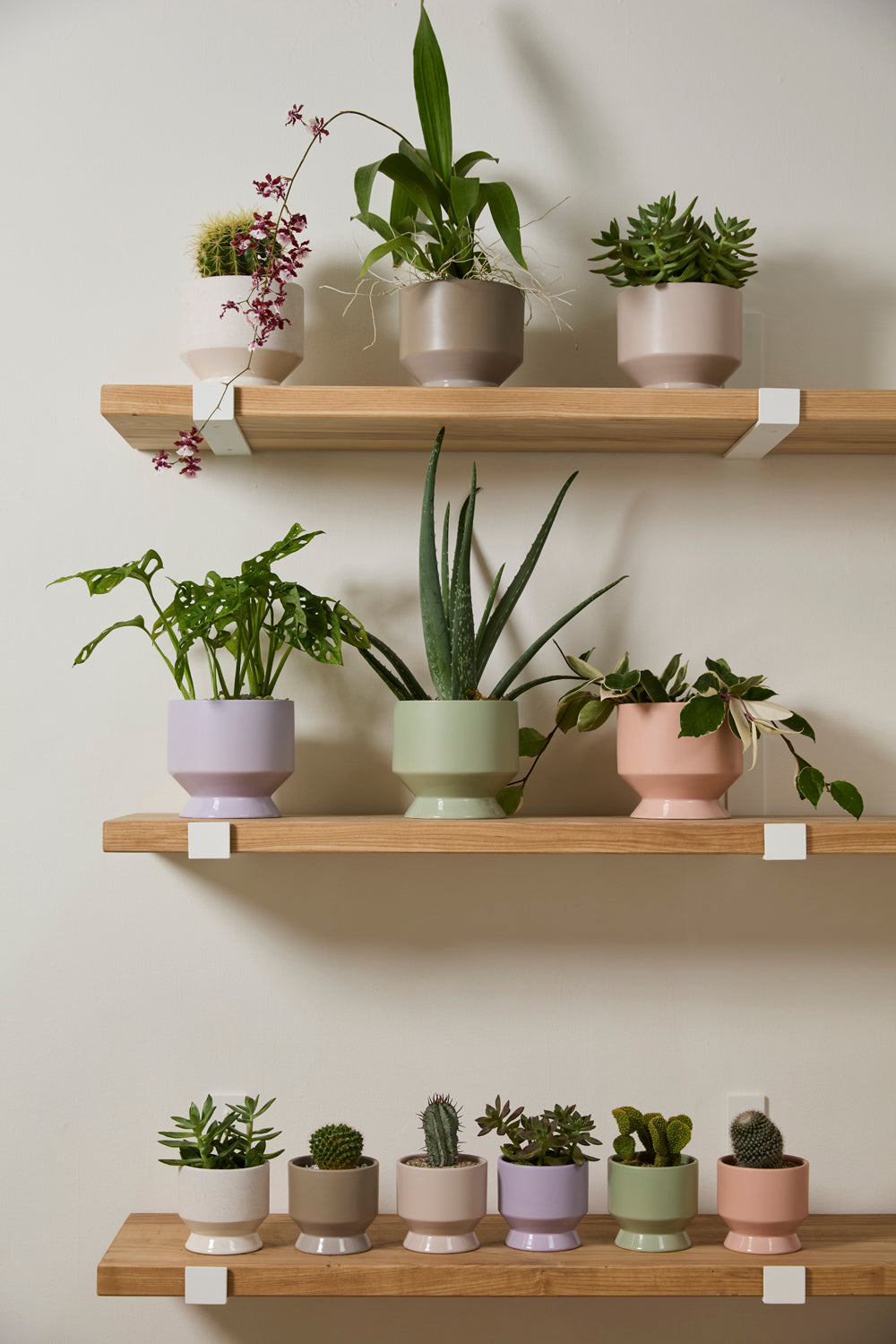 Pasadena Pot