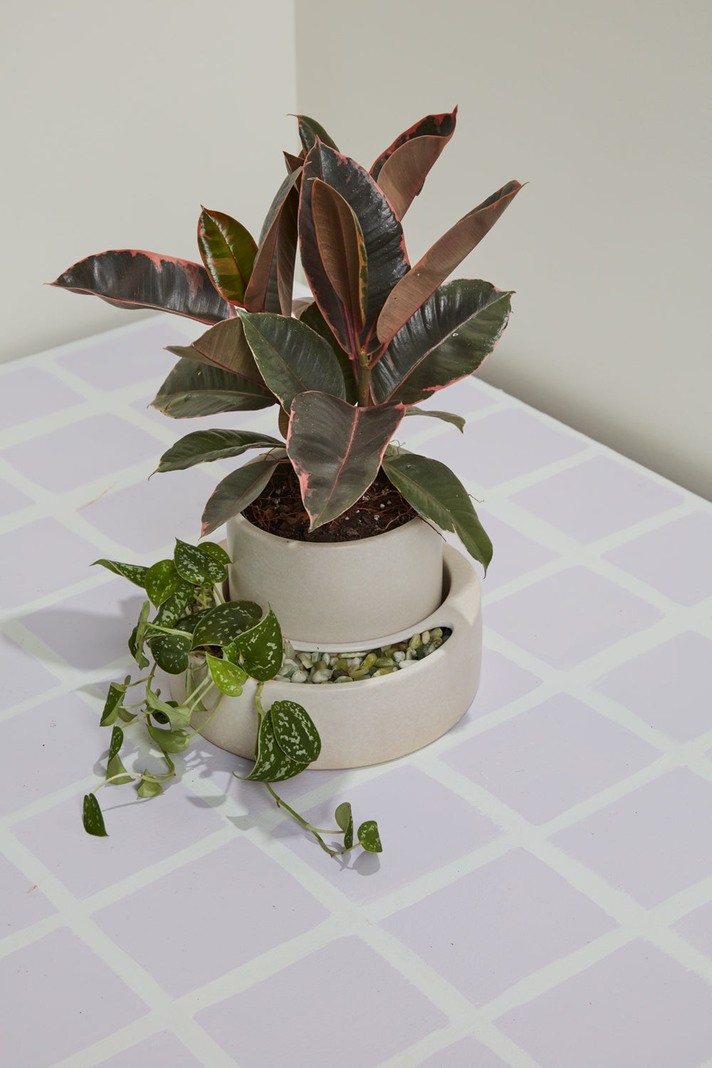 Peninsula Planter