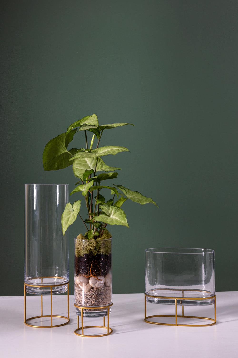 Pilotis Vase