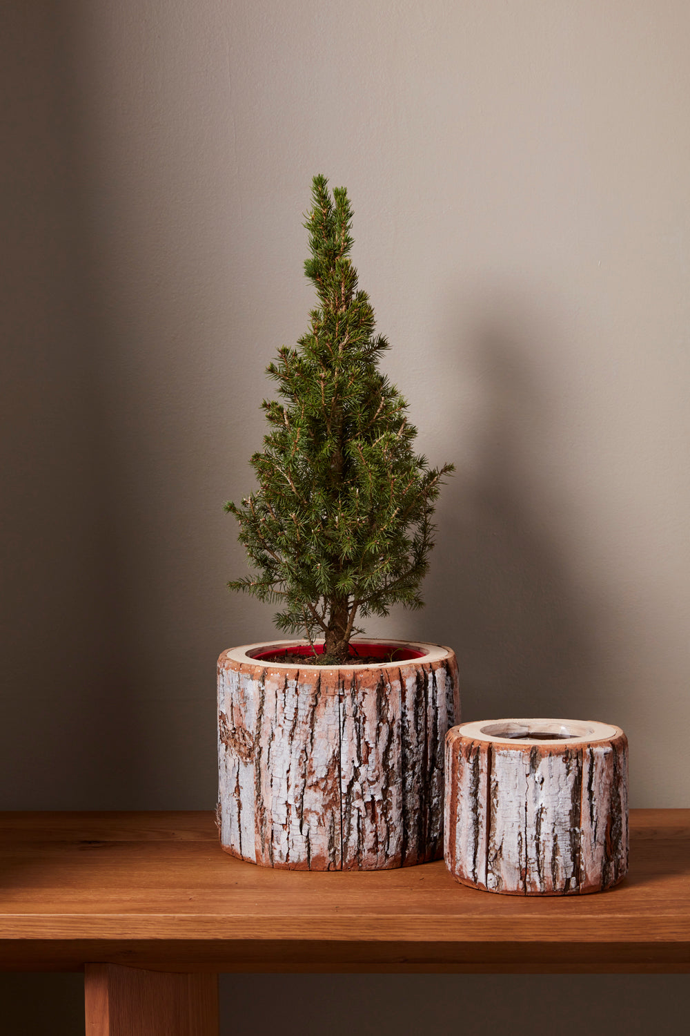 Pinefrost Pot