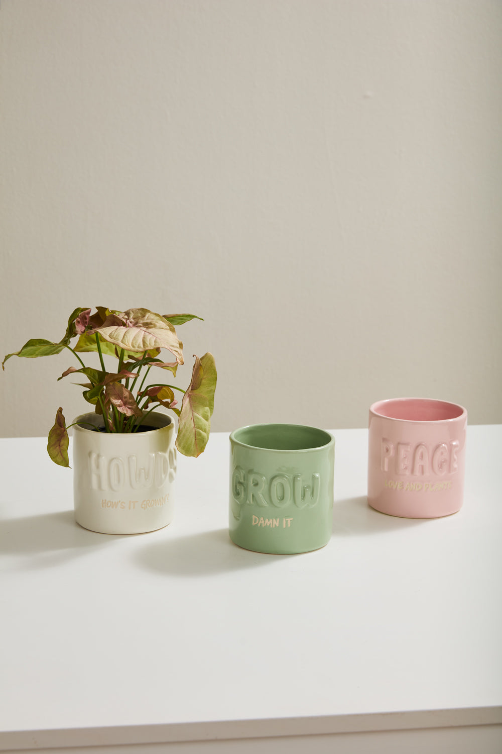 Plantism Pot