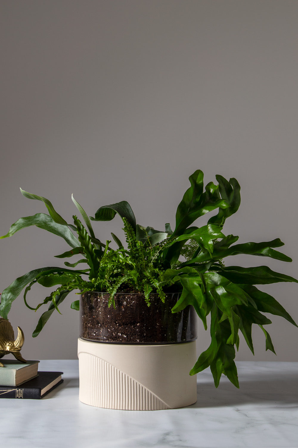Plinth Terrarium