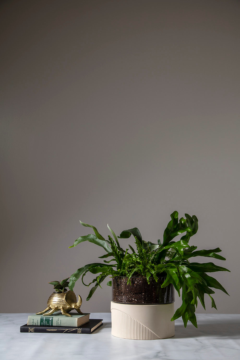 Plinth Terrarium
