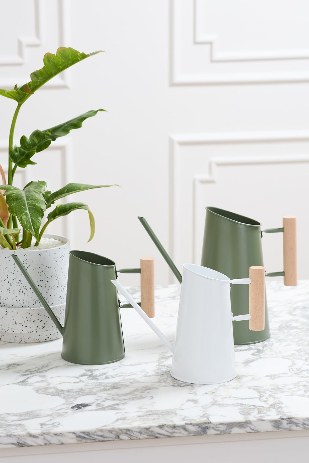 Preston Watering Can