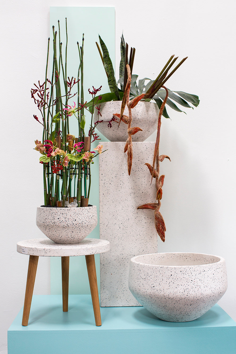 Razzo Collection