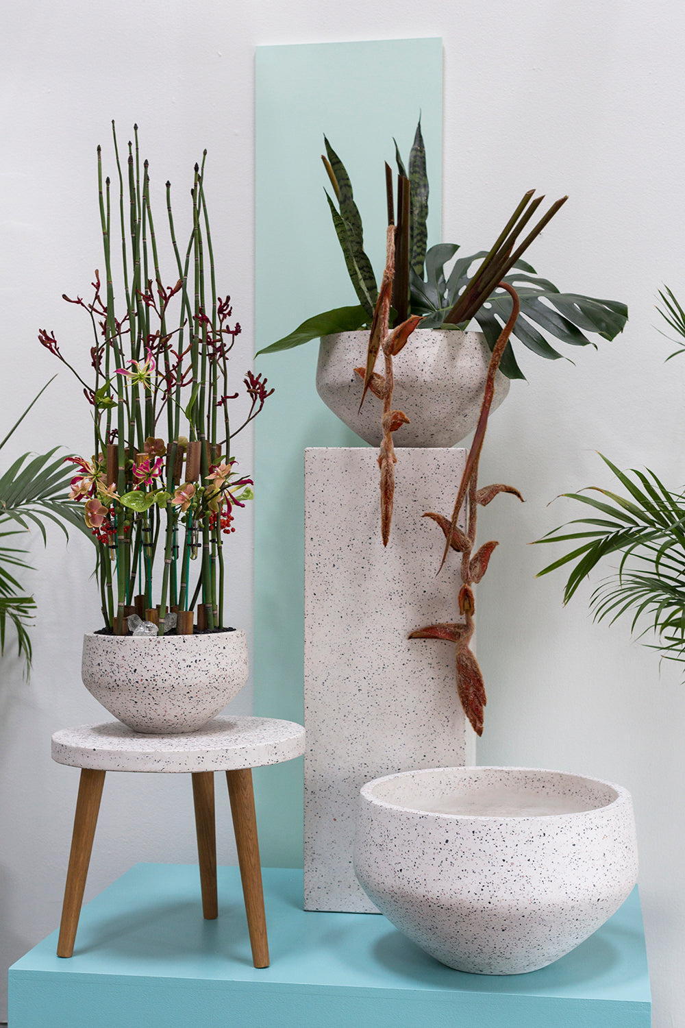 Razzo Collection