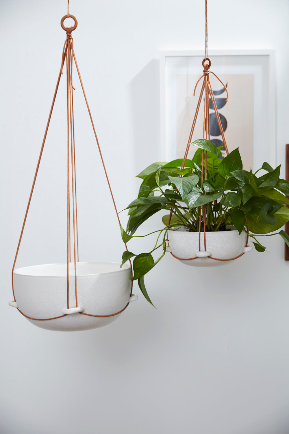 Redondo Hanging Pot