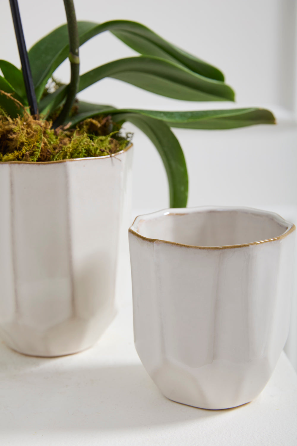 Renew Vase