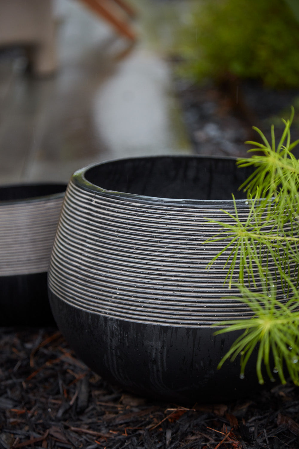 Revolution Planter