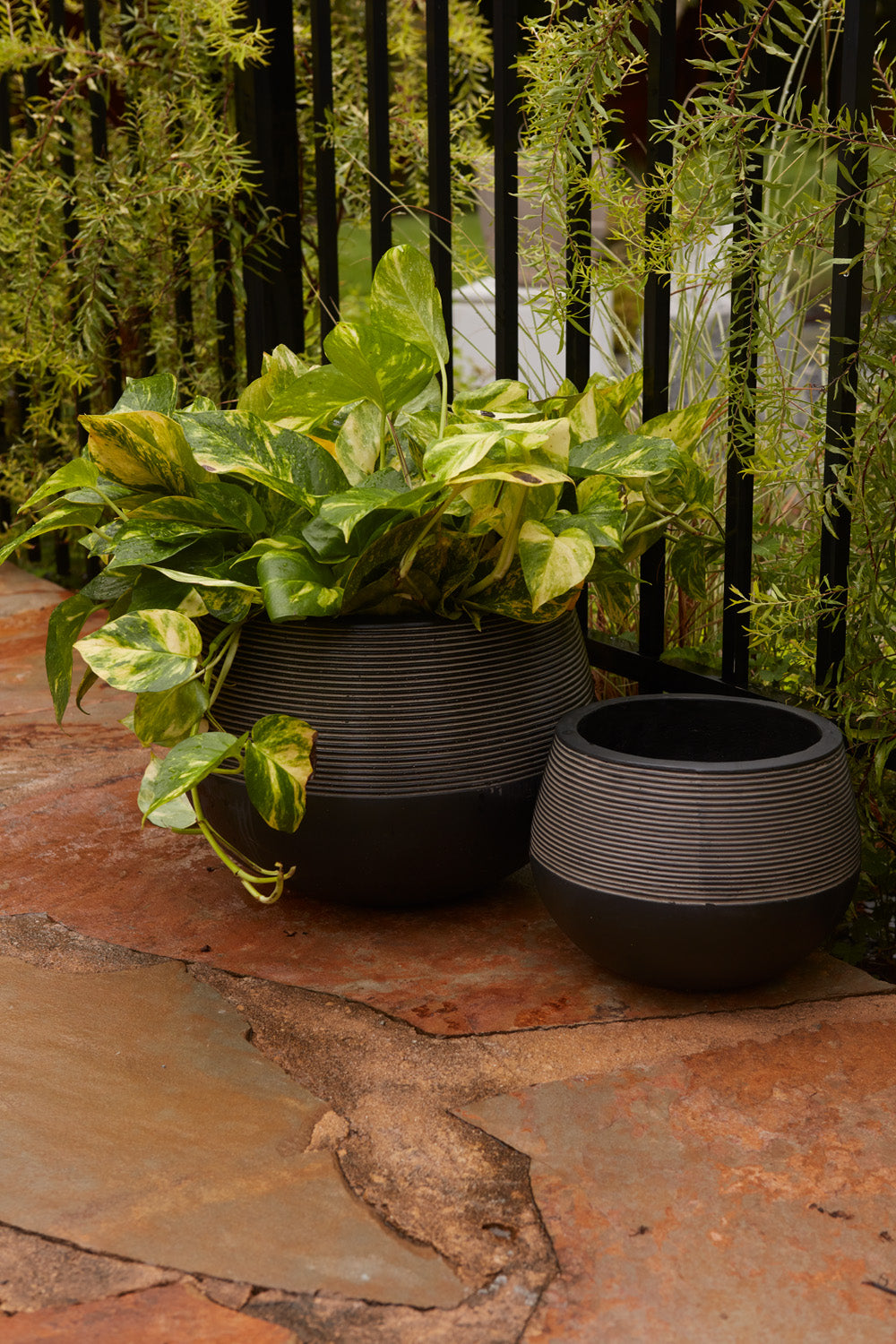 Revolution Planter