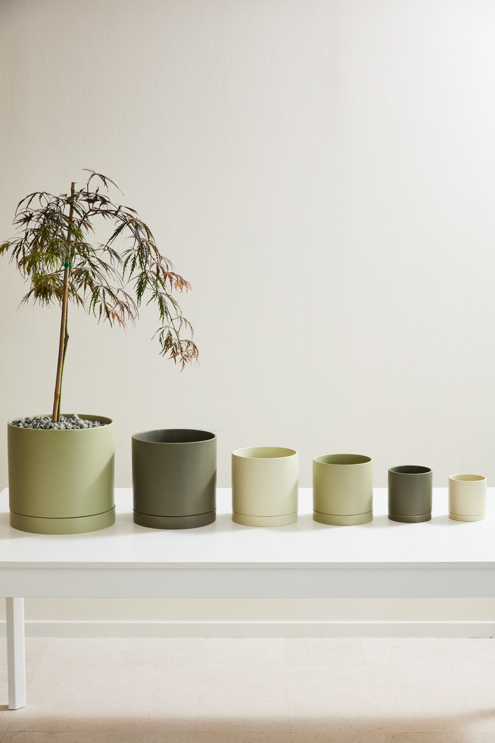 Romey Neutral Pot with Saucer
