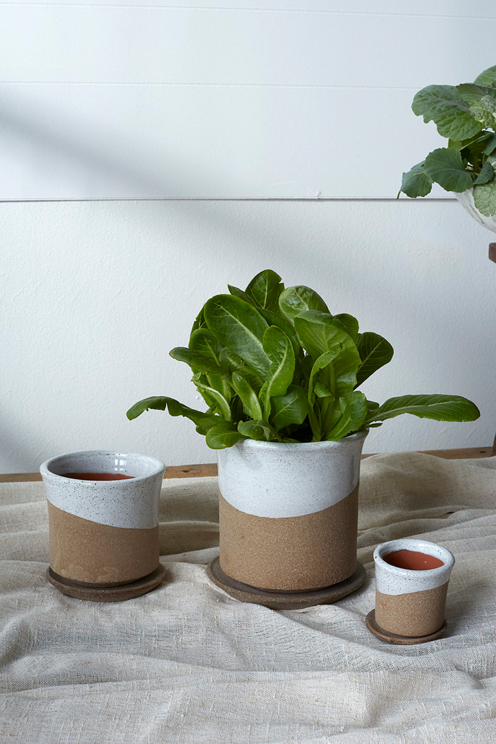 Roon Pot